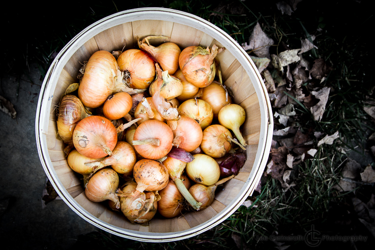 Keene NH Wedding Photographer Lee Germeroth