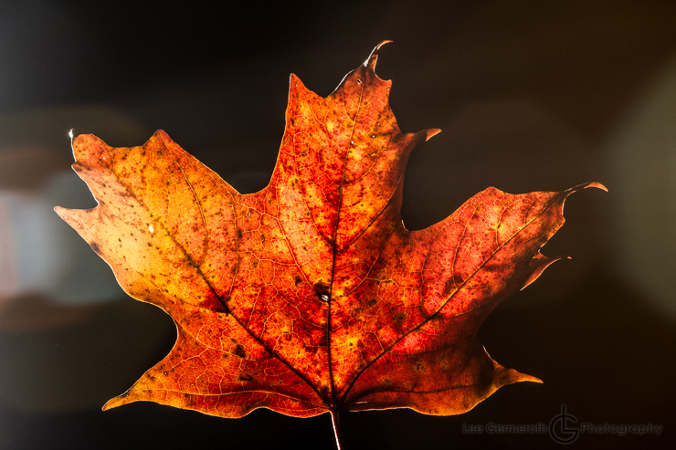 Keene NH Wedding Photographer Lee Germeroth