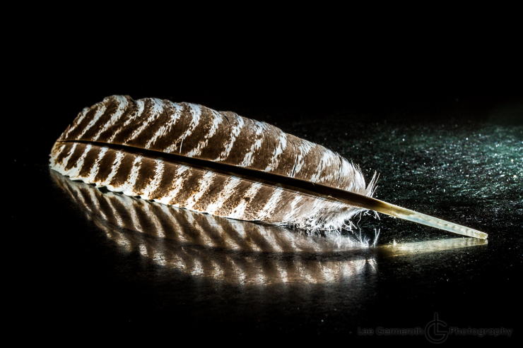 Keene NH Wedding Photographer Lee Germeroth