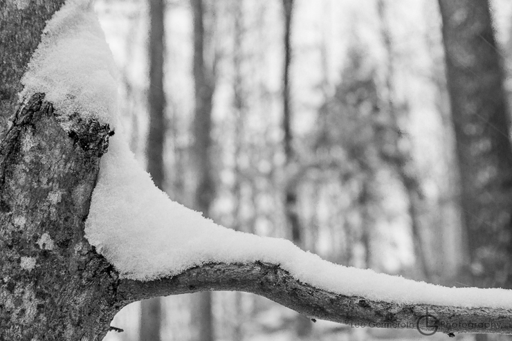 Keene NH Wedding Photographer Lee Germeroth