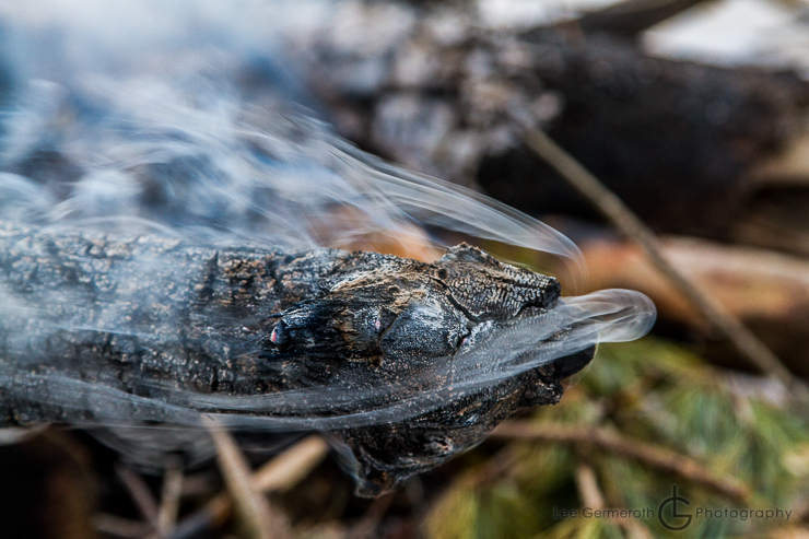 Keene NH Wedding Photographer Lee Germeroth