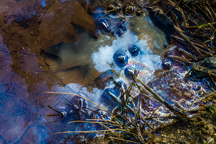 Keene NH Wedding Photographer Lee Germeroth